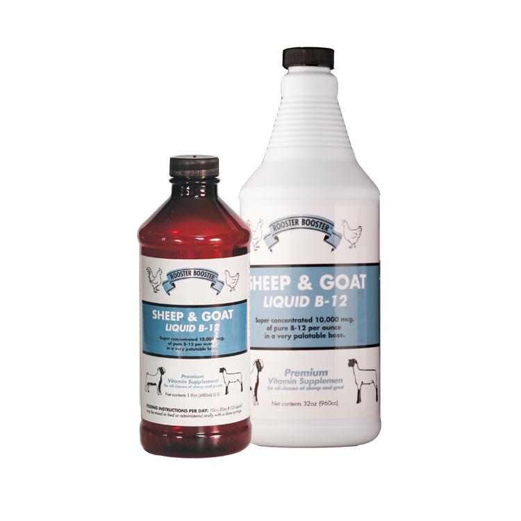 can you give a goat injectable b12 Vitamin B-12 3000 (VetOne), 100 mL Rooster Booster Sheep & Goat