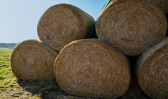 The Importance of Extra Hay During Winter Months