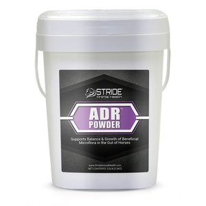 Stride ADR Powder (5 lb)