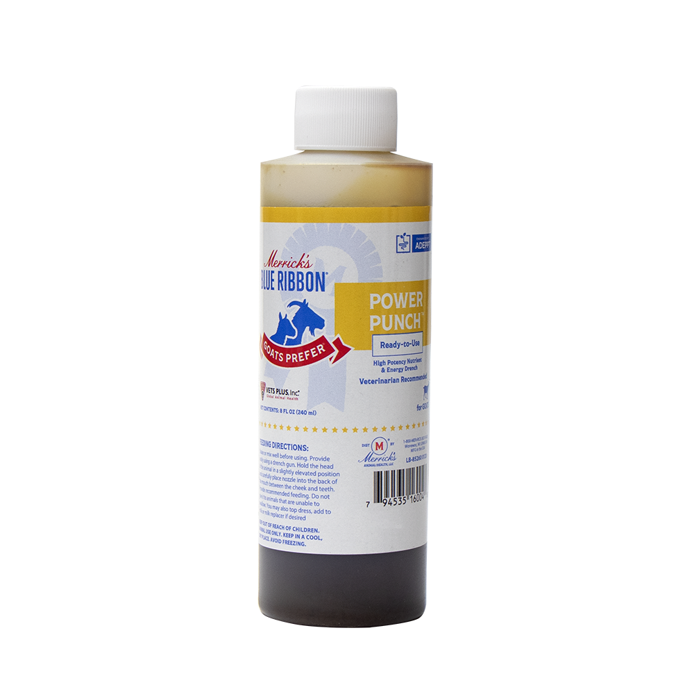 Merrick's Blue Ribbon Goats Prefer Power Punch 8 oz. - Lubbock, TX ...