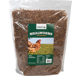 Aspen Dried Mealworms