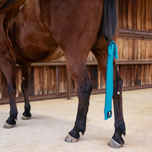 Classic Equine Tail Bag