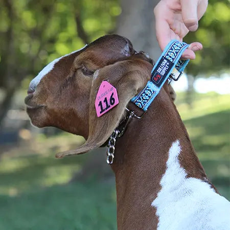 Sullivan Supply Free Spirit Leads-