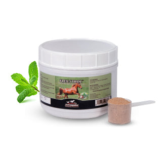 Aspen Flex-Itrol® Powder (1 lb)